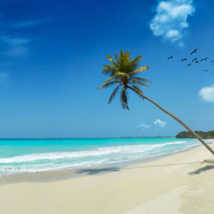 Discover the Bahamas by Yacht