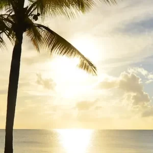 Sail the Stunning Waters of St. Martin