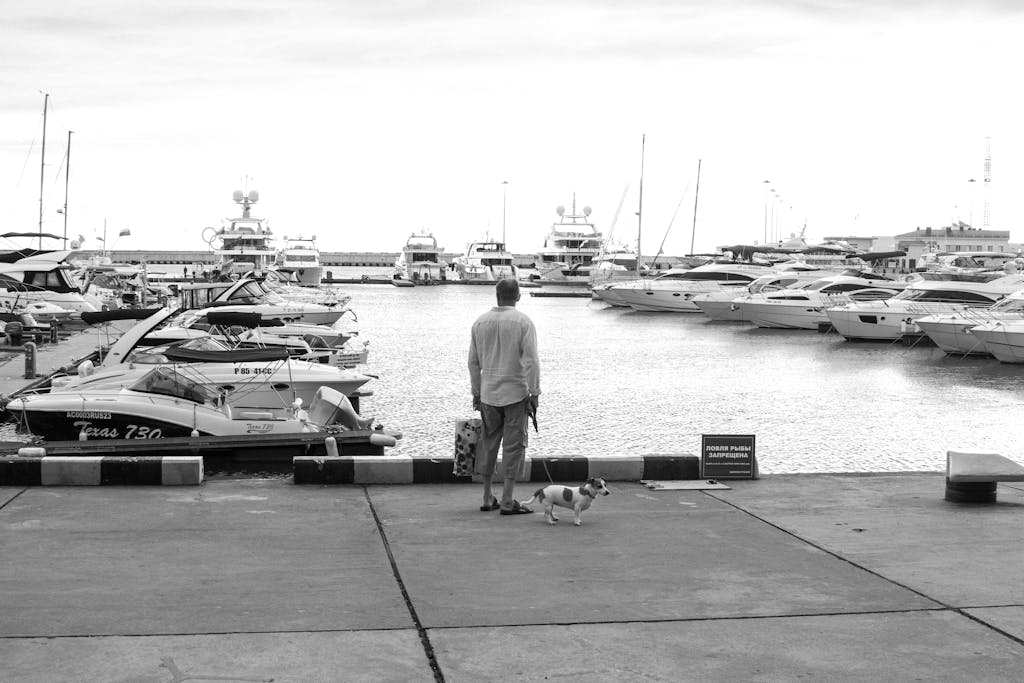 A serene black and white image of a man with his dog overlooking yachts at a harbor.
