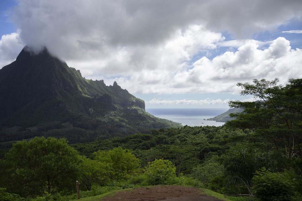 Breathtaking landscape of Mount Rotui overlooking lush forests and the ocean in Moorea, French Polynesia.