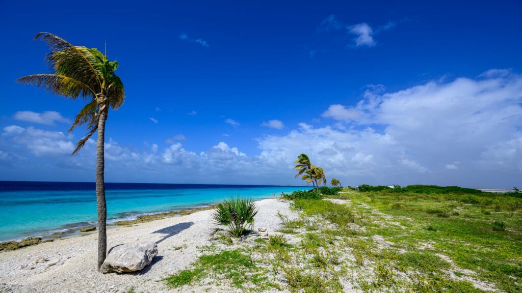 Sailing guide: Sailing in the ABC Islands: Aruba, Bonaire & Curaçao