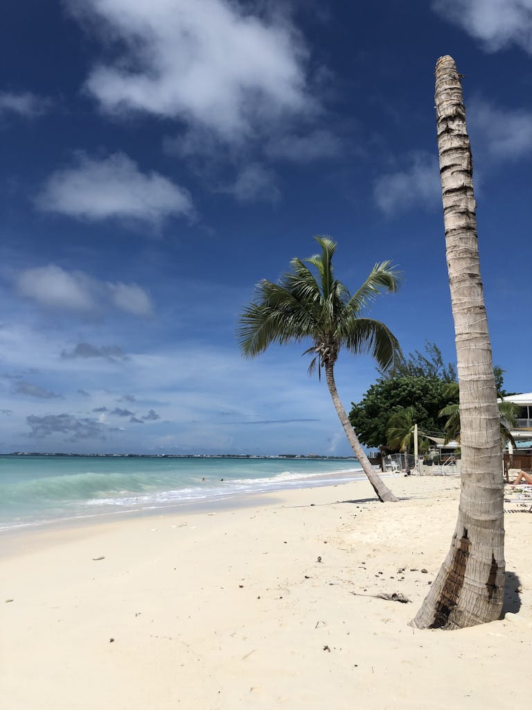 Scenic view of a tropical beach with palm trees and turquoise waters in the Cayman Islands.