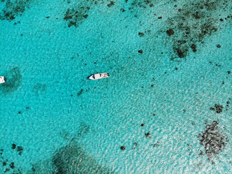 Stunning aerial view of white boats on the clear, turquoise waters of Belize, showcasing marine life.