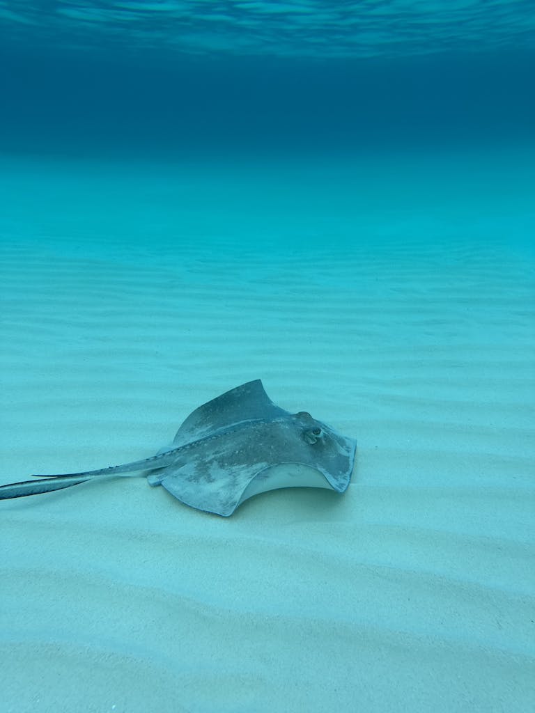 Sailing guide: Sailing in the Cayman Islands