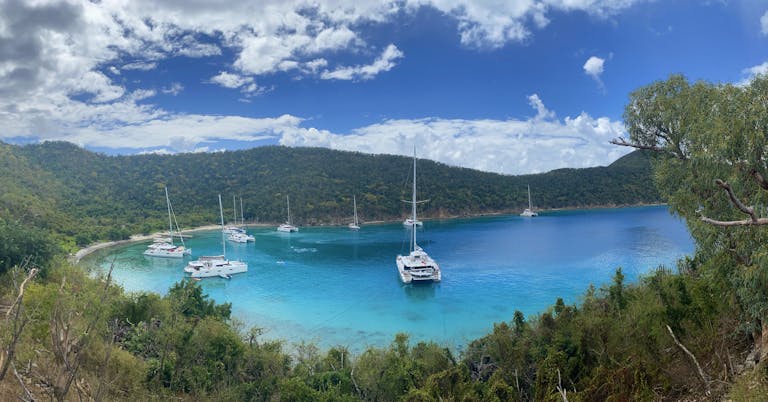 A panoramic view of a bay with yachts docked, surrounded by lush greenery in the British Virgin Islands.
