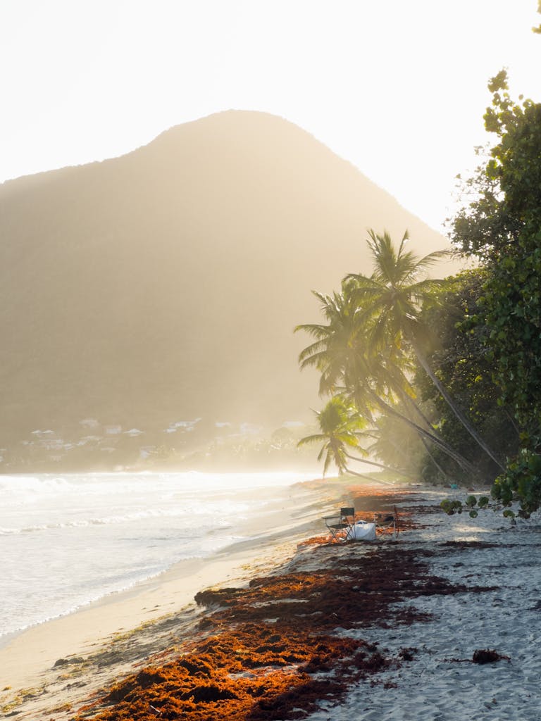 Sailing guide: Sailing in Martinique