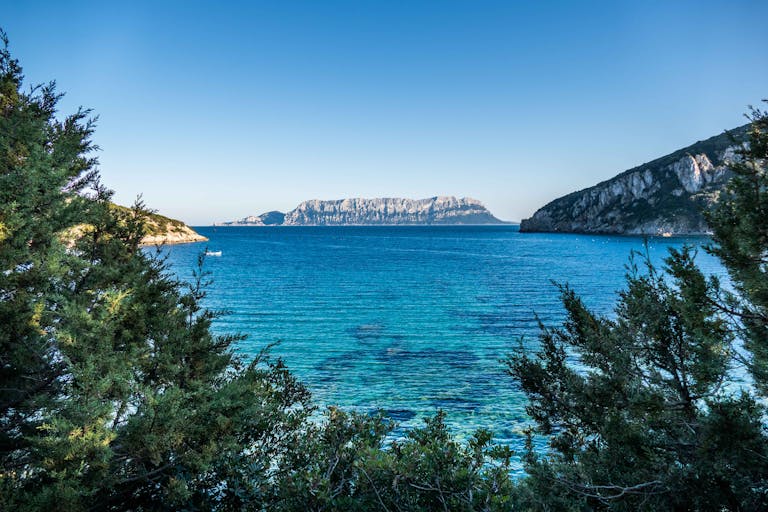 Breathtaking view of Tavolara Island surrounded by azure waters, seen through lush greenery in Sardinia, Italy.