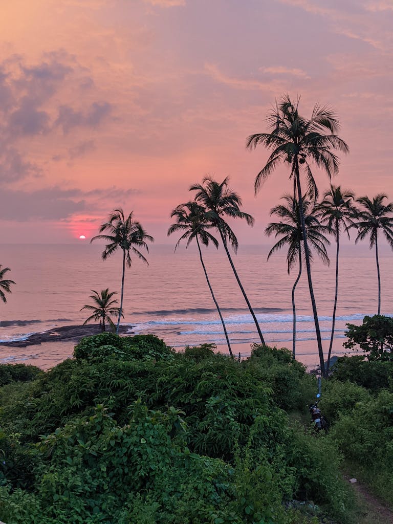 Experience a breathtaking Goan sunset with coconut palms swaying against a vibrant sky.
