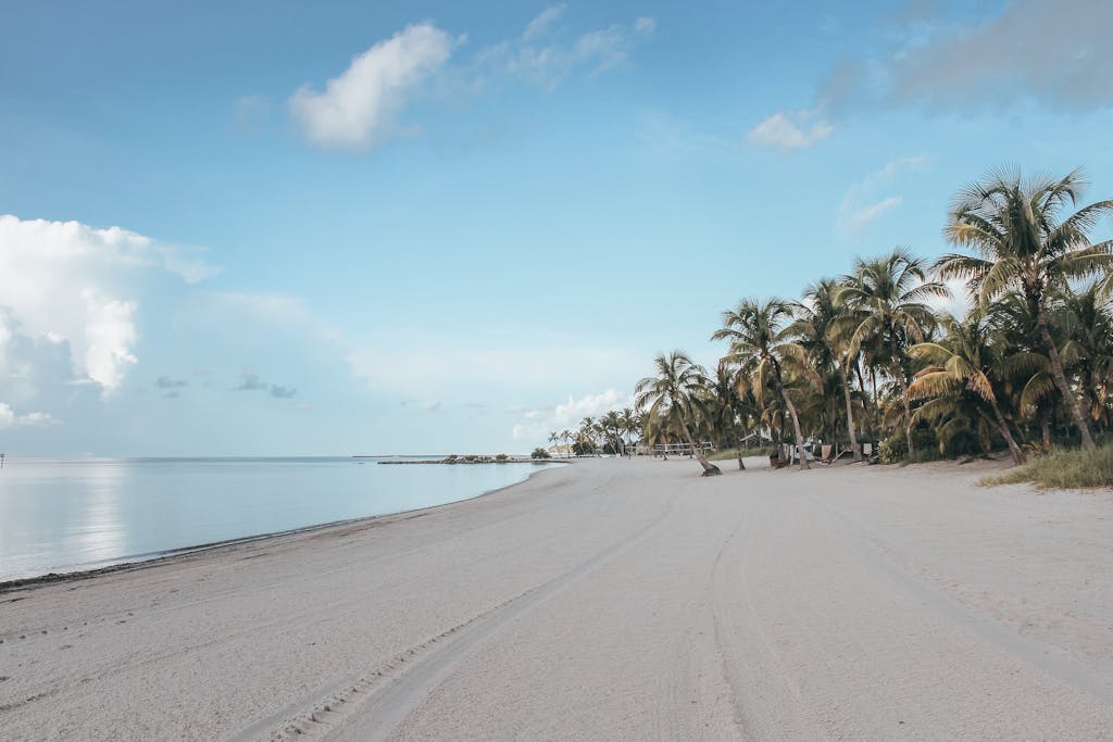 Peaceful white sandy beach with palm trees in Key West under a clear blue sky.