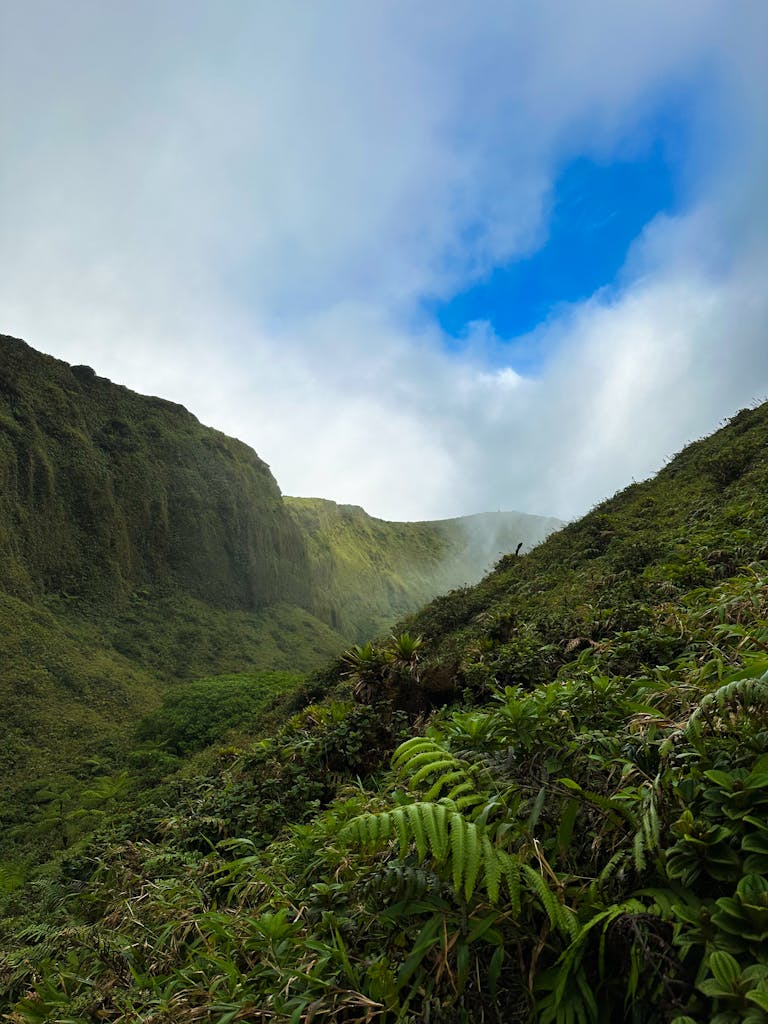 Stunning view of a verdant valley in Martinique with mist and blue sky above.
