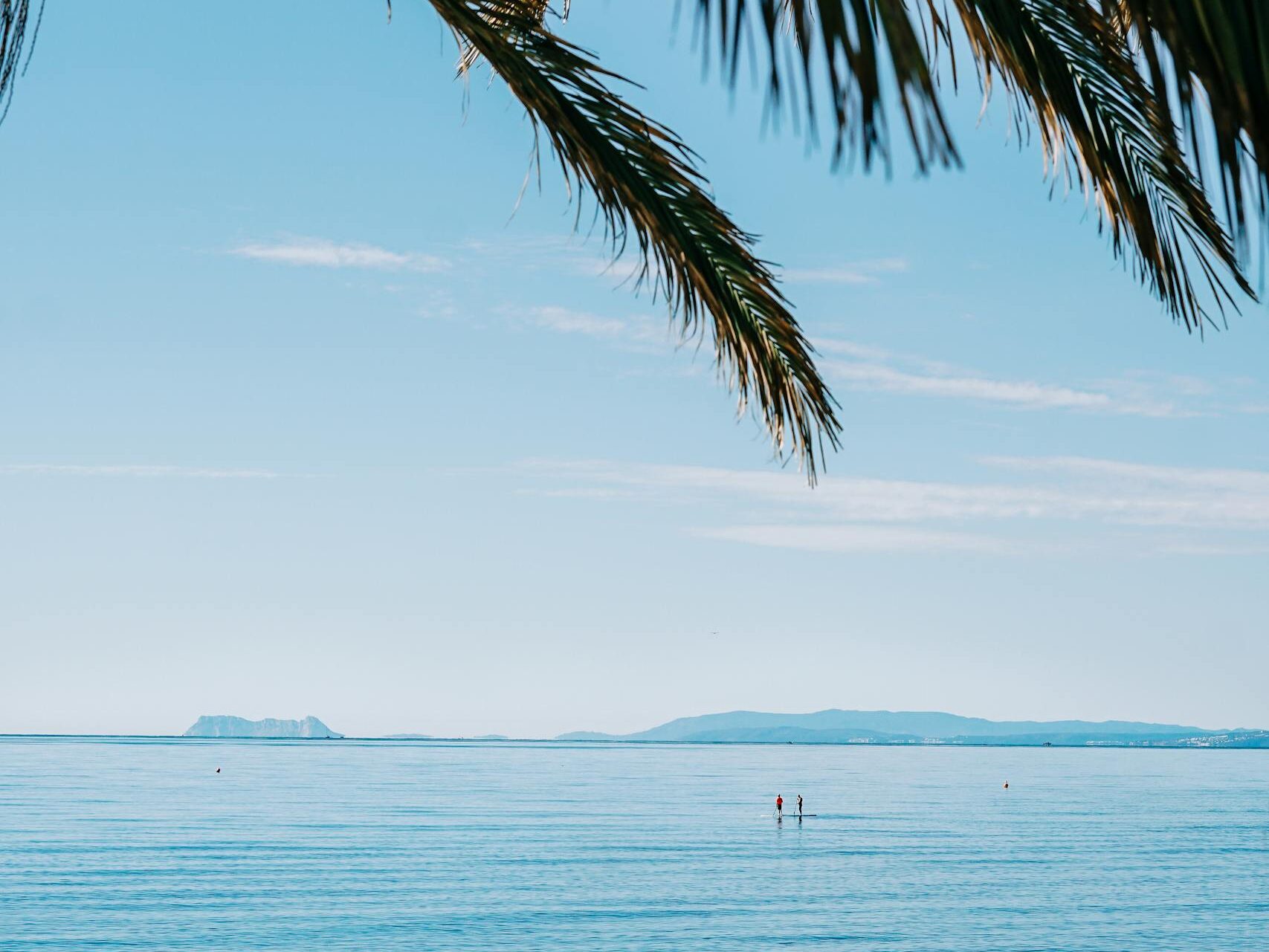 Beautiful seaside view in Marbella, Spain with palm leaves framing a clear blue sky and ocean.