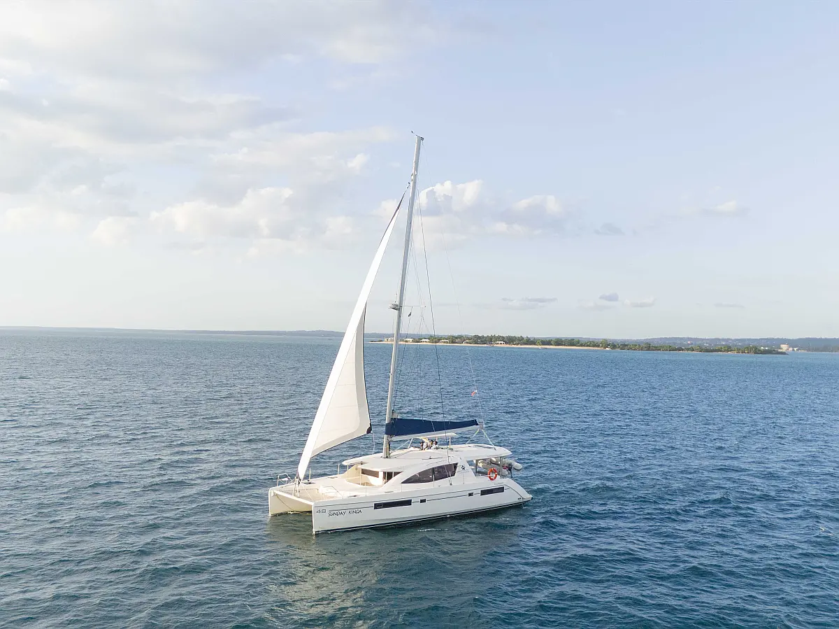 Leopard 48 (2016) in Tanzania
